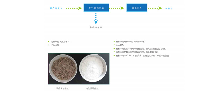 有機分離和純化技術